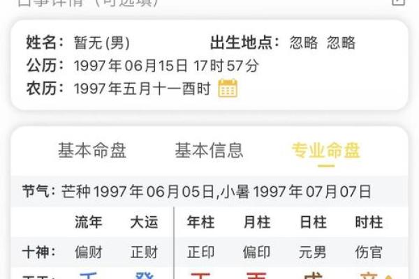 解析日元在命盘中的象征意义及其对个人发展的影响 解析日元在命盘中的象征意义及其对个人发展的影响