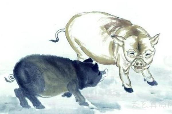 探寻己亥猪的命理与颜色之美：解读命运与色彩的深刻联系