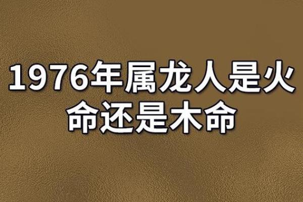 探寻龙命理：属龙男的命格与人生解析