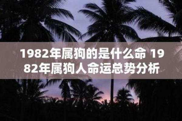 2023年属狗人命理分析：缺什么颜色，如何提升运势？