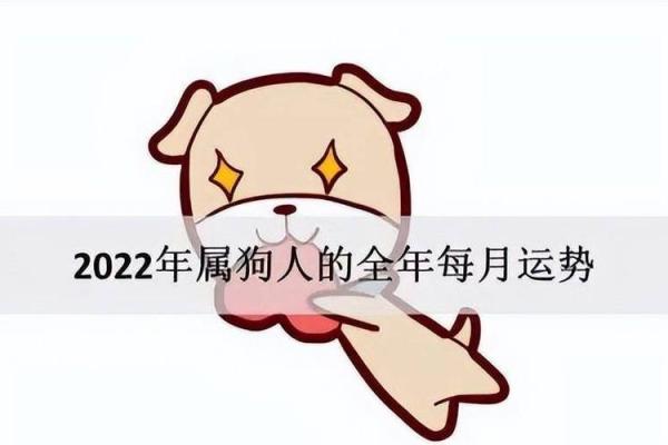 2023年属狗人命理分析：缺什么颜色，如何提升运势？