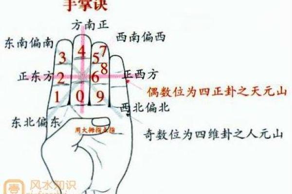 木命鸡在选择楼盘时的最佳匹配与风水分析