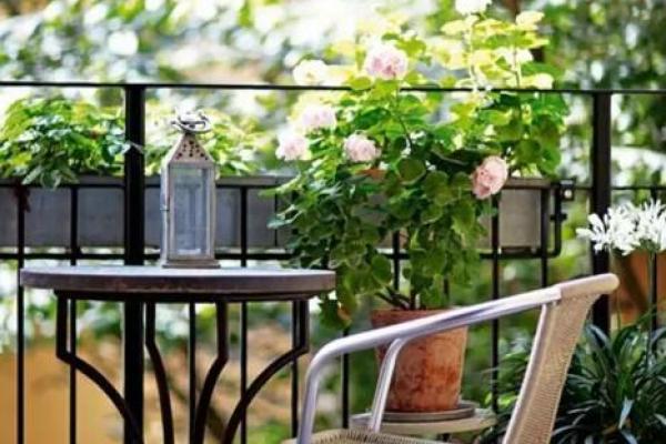 庚寅男性的情感向往:寻找理想伴侣的旅程 庚寅男性的情感向往:寻找理想伴侣的旅程