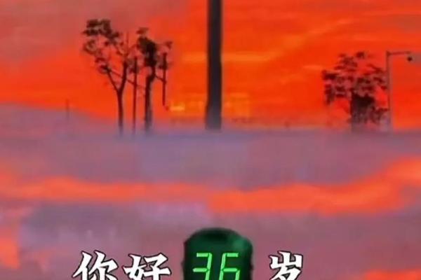 巳酉子命三六命：解密命理的神秘力量与人生轨迹