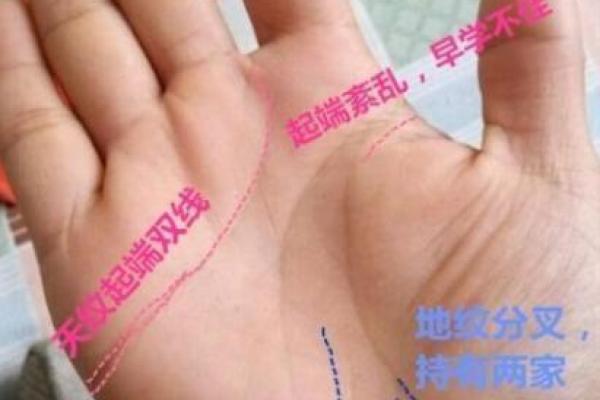 命理解密：揭秘那些膝下无子的命人背后的真相