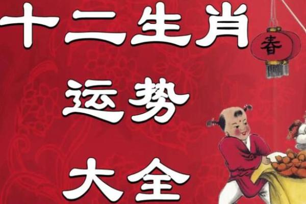 2023年如何看待25属相的命运与运势，生肖的启示与指引！