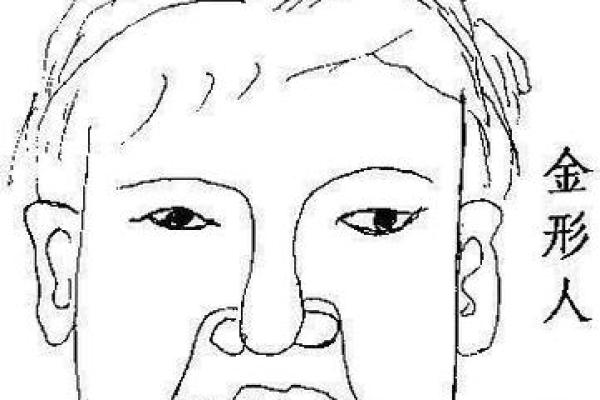 揭秘脸型小的人命运:小脸大智慧的生活哲学 揭秘脸型小的人命运:小脸大智慧的生活哲学