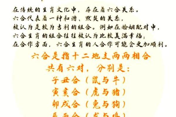 根据什么属相孩子命最好？探讨最佳出生年份的奥秘