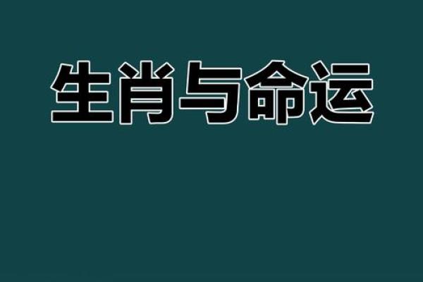 根据什么属相孩子命最好？探讨最佳出生年份的奥秘