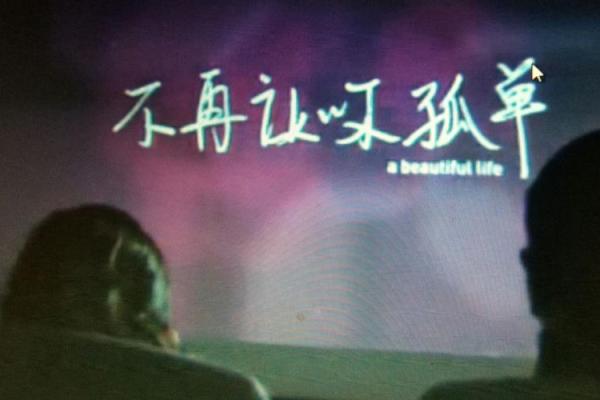 命里无桃花，爱在哪里？寻找情感的真谛与内心的和谐