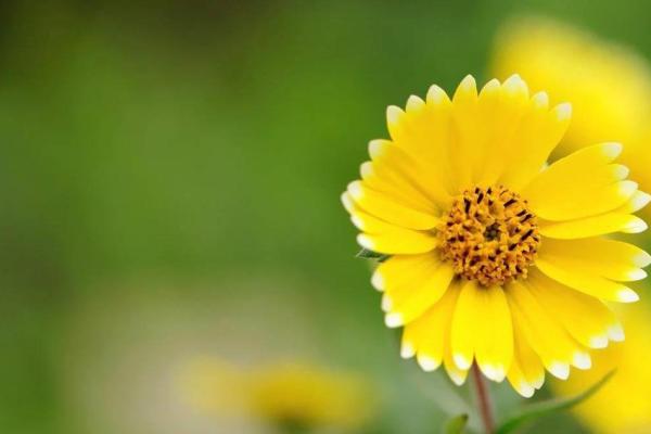 揭秘！13时出生的命理解析与人生轨迹大揭密