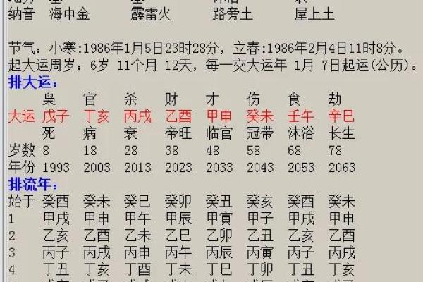 土命与火命的生意选择：如何掌握最佳经营方向