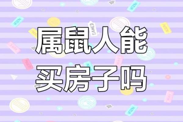 2023年属鼠人的命运分析与生活指南