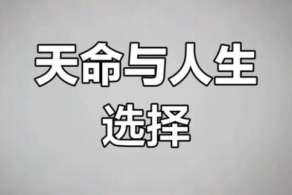 命理解析：女生一生的命运与性格的关系揭秘