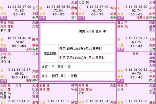 探索人格17的命理特征与人生指引