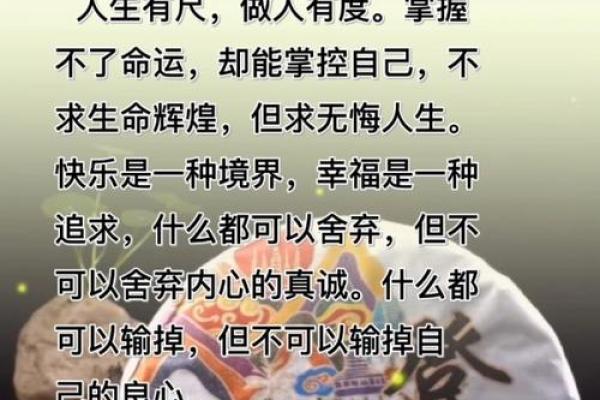 掌握命运的统计：如何通过数据洞察人生轨迹