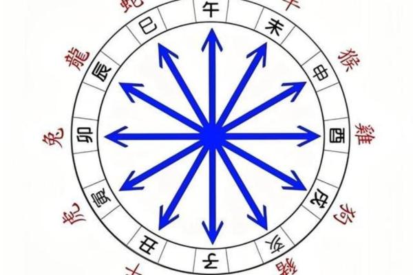 探寻命理的奥秘：命连的深层含义与人生启示