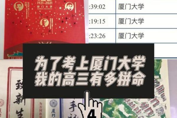 龙28号出生的人命运分析与生活指南