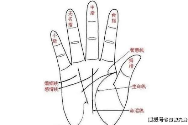 根据手型定命格：解读手相与性格的秘密
