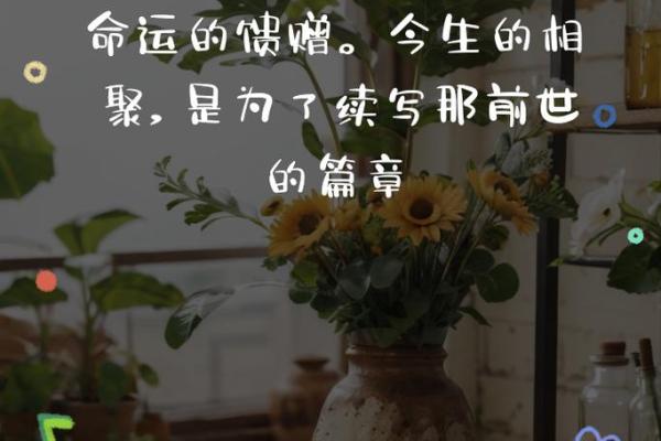 命运的轮回：为何许多人总是与牢狱相伴？