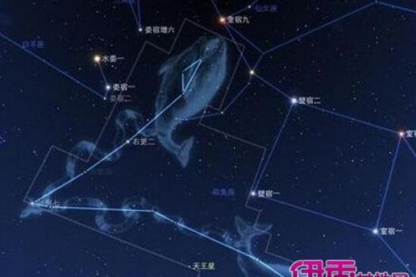 1967年的命格解析:揭示属羊者的独特人生轨迹与智慧 1967年的命格解析:揭示属羊者的独特人生轨迹与智慧