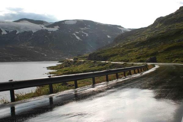 探索大林木女：寻找心灵与命运的和谐之路