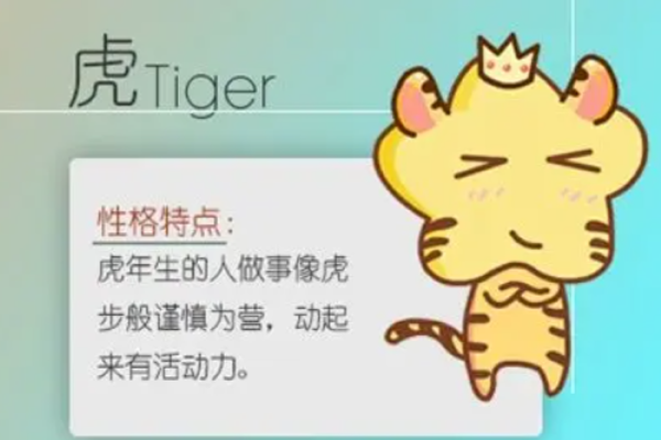 老虎的媳妇是什么命？揭秘生肖与命运的奥秘