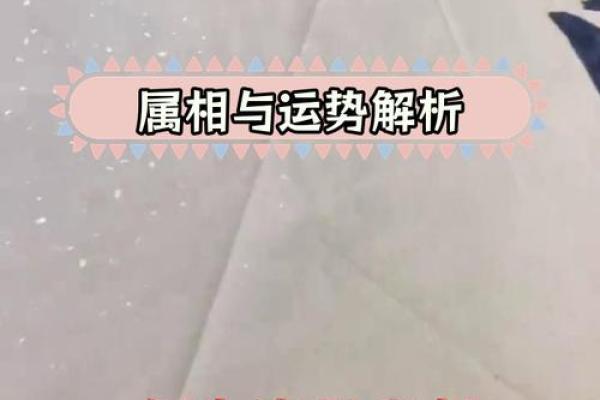 金命者交运忌讳的属相与运势提升秘籍 金命者交运忌讳的属相与运势提升秘籍