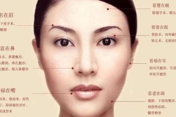 眉毛与命运：解析不同眉形与人生运势的关系