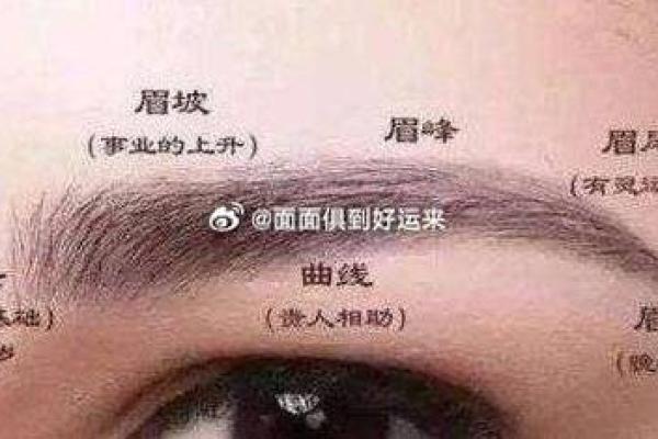 眉毛与命运：解析不同眉形与人生运势的关系