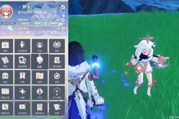 探秘雷电将军的二命:力量与使命的结合 探秘雷电将军的二命:力量与使命的结合