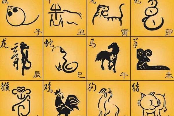 揭开“属什么命”的秘密，了解命运与生肖的深层联系