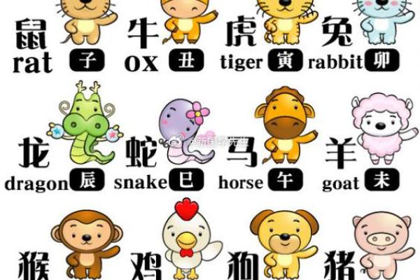 探寻2019猪年出生孩子的命运与性格特点