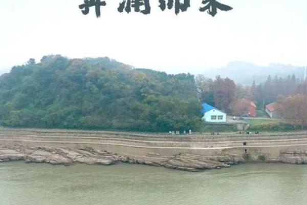 根据命理选择最佳养牛方式，让财富如牛般奔涌而来！