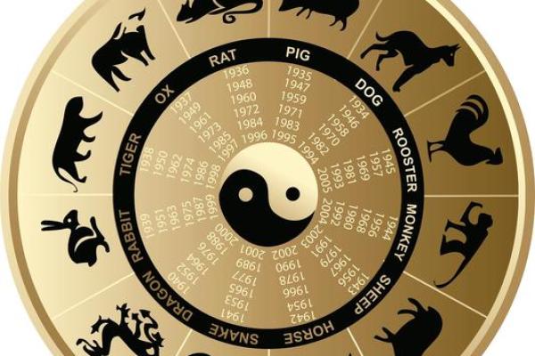 揭开命运的面纱：2004年出生者的命运解析与运势查询