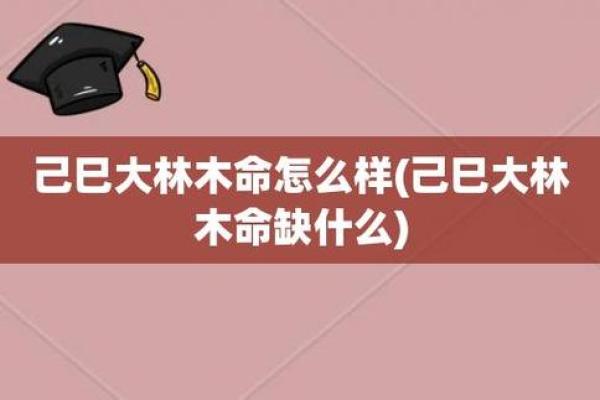 探索大林木命之道：适合的职业选择与发展机会