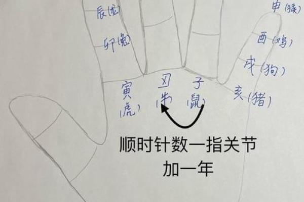 根据出生年份推算属相与命理的奥秘解析