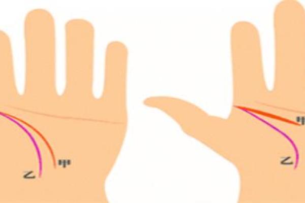 探索1978年土马命的命理秘密与运势分析