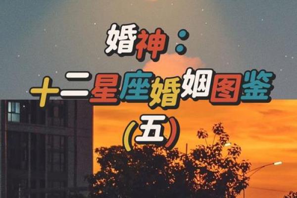 1986年属虎的命婚配：寻找命中注定的另一半