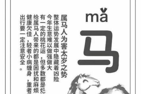 土命最佳生肖佩戴指南：让你的运势更上一层楼！