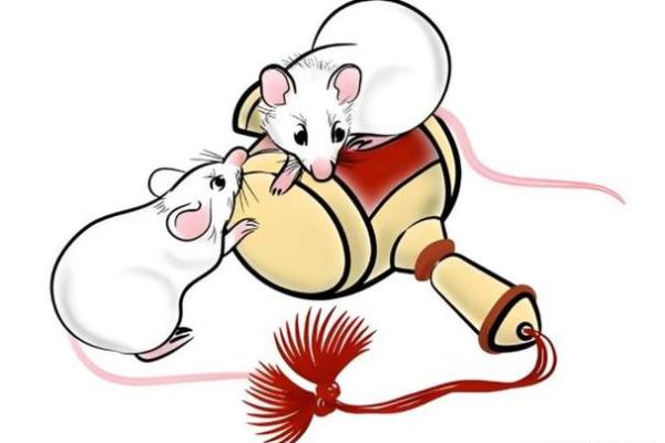 2008年命运与生肖：揭示属鼠人的天赋与挑战