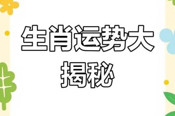 2008年命运与生肖：揭示属鼠人的天赋与挑战