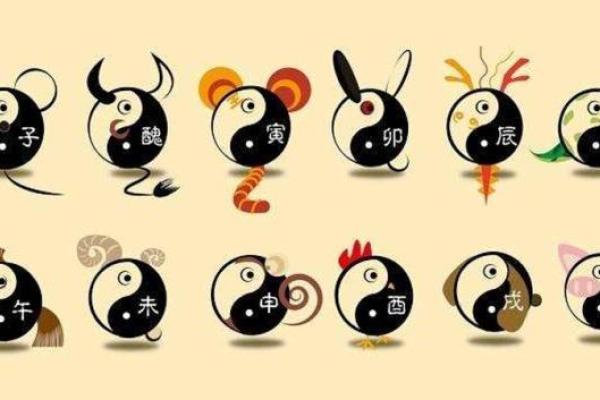 揭秘辛亥猪的命理特征与生活启示，探索不一样的命运之旅！