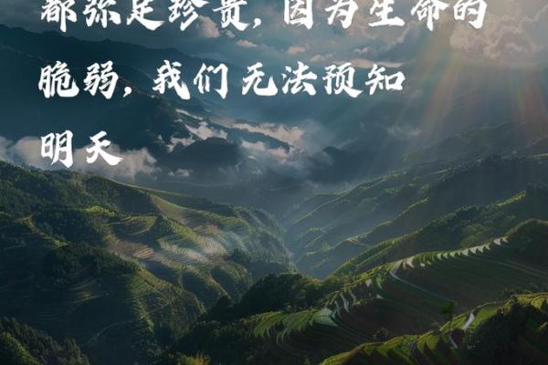 被车撞命的象征与启示:生命的脆弱与珍贵 被车撞命的象征与启示:生命的脆弱与珍贵