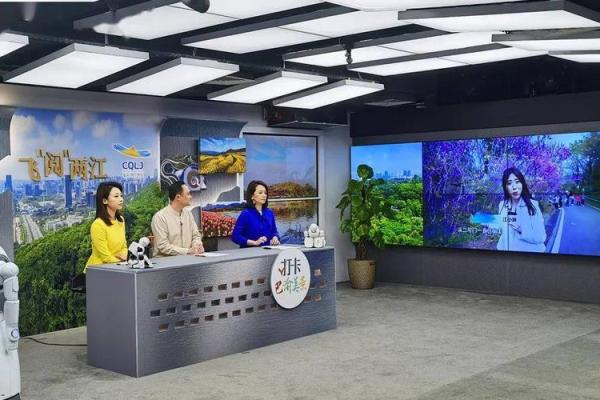 命理课程的魅力：探索自我与未来的智慧之旅