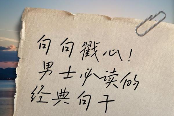 2008年的回忆：在风云变幻中坚守我们的梦想与希望