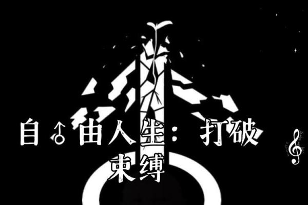 一命与六命解析：人生的命运之门与人生的无限可能