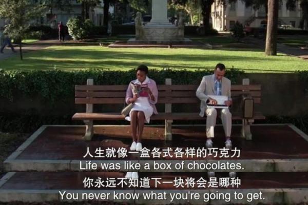 一命与六命解析：人生的命运之门与人生的无限可能