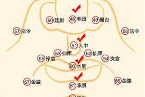 人中深长，究竟是什么命？探秘面相学的奥秘与人生轨迹
