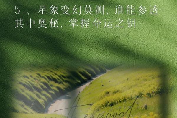 1973年生人：命理与人生的探索之路